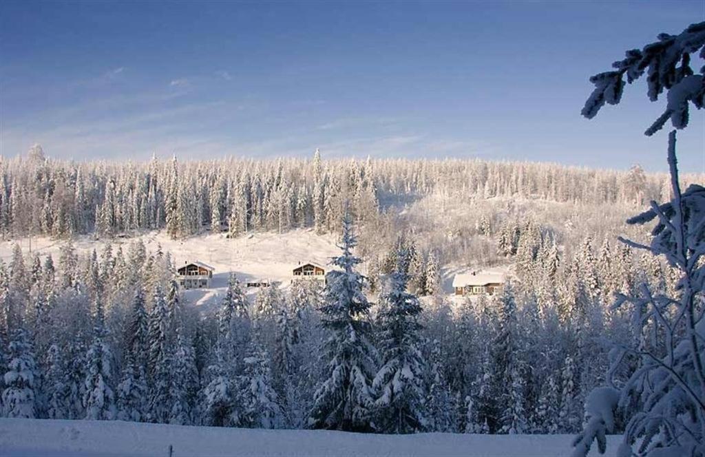 Karkutahko Villas Ruokonen Buitenkant foto